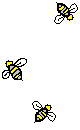 buzz buzz