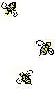 buzz buzz