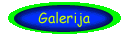 Galerija