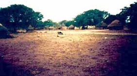 Hut village