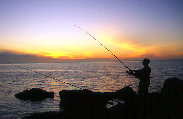 trentonassembly027.jpg