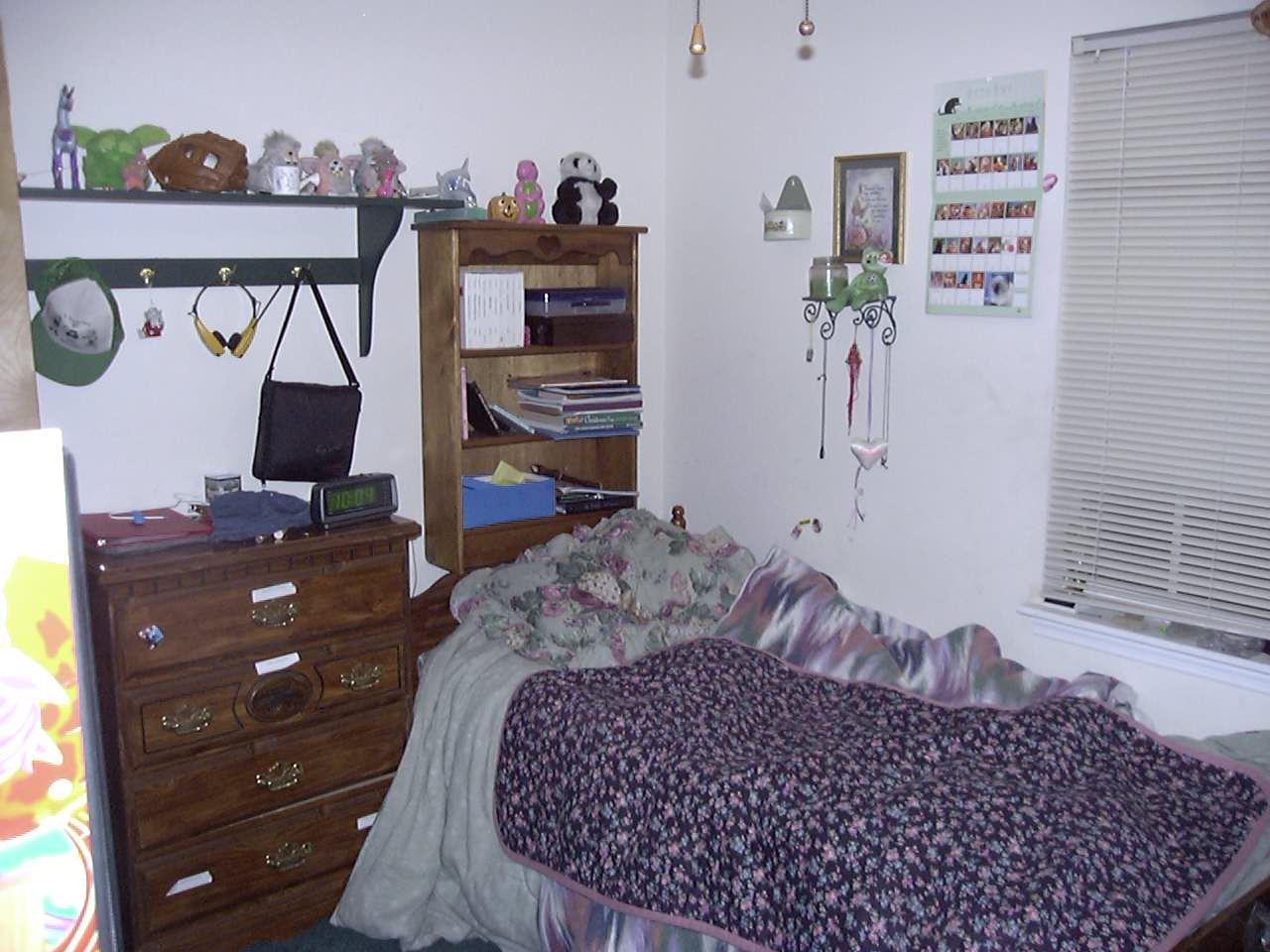 Elaine's room
