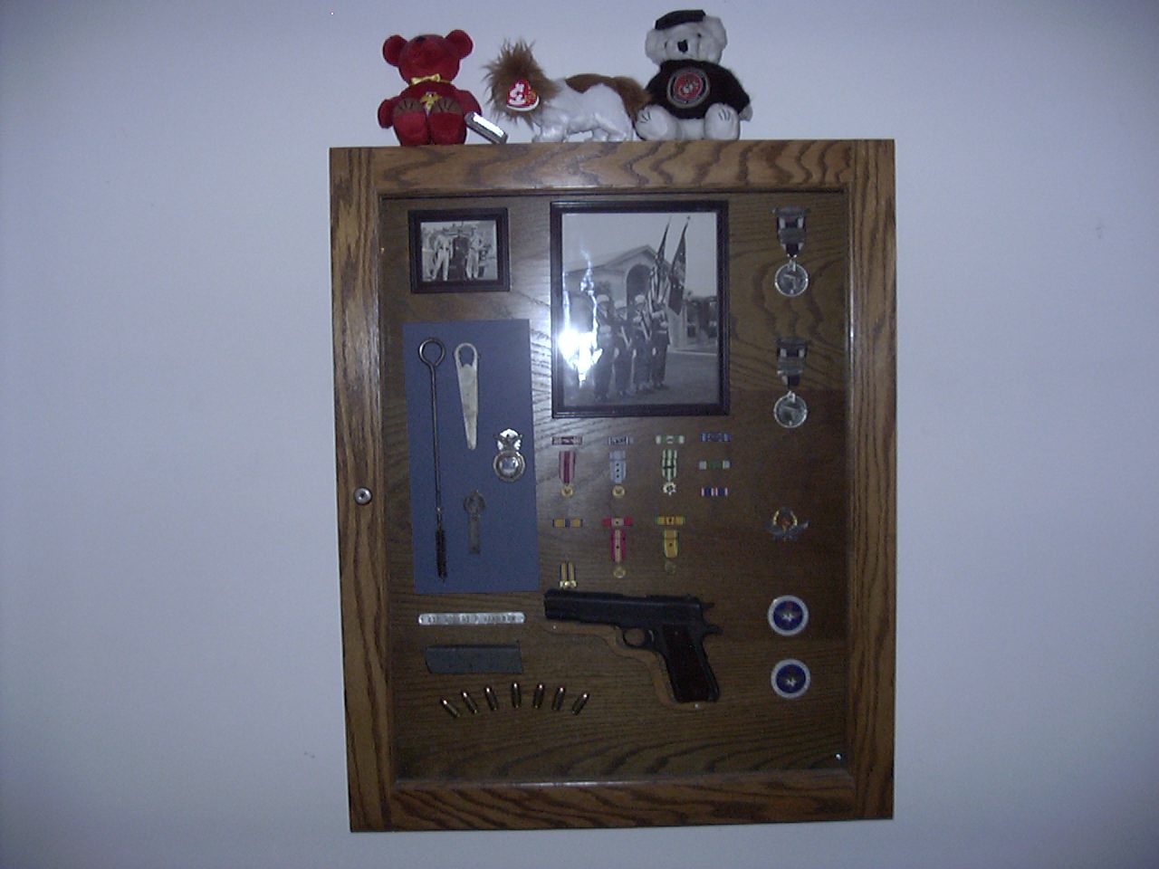 Gun Case