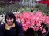 tasia_flowers_2.jpg (163840 bytes)