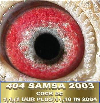 One of 4 Multiple Winners taken to Stock 2005