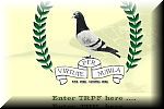 Transvaal Racing Pigeon Federation - South Africa