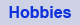 Hobbies