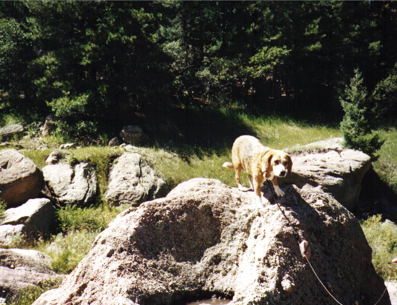 Castlewood Canyon August 1999
