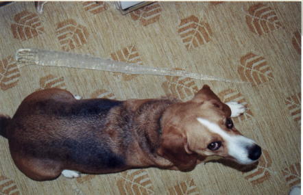 March 2001