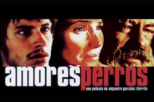 Amore Perros