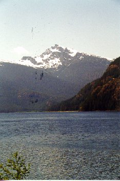 Mt. McBride viewed across Buttle Lake