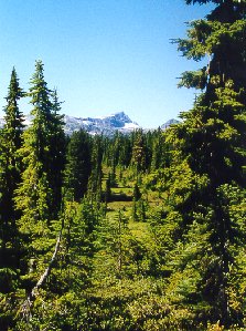 A mountain scene
