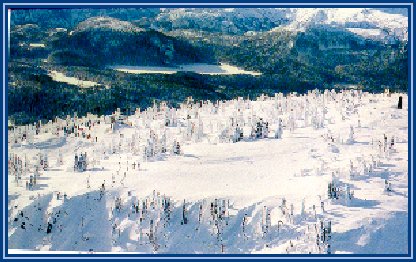 Mount Washington