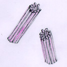 centri.jpg (10625 bytes)