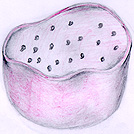 lyso.jpg (16295 bytes)