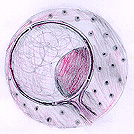 nucmem.jpg (21045 bytes)