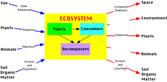 eco.gif (7306 bytes)