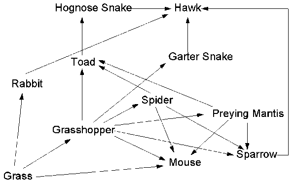 fweb.gif (5174 bytes)
