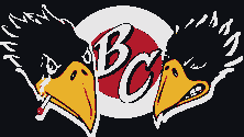 the black crowes website