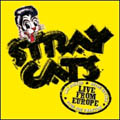 Stray Cats