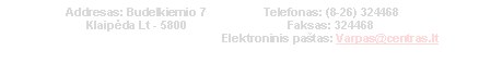 Mokyklos elektroninis patas