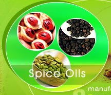 Spice