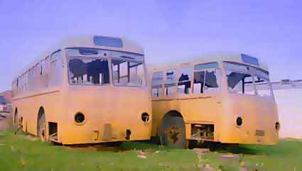 yellow twins