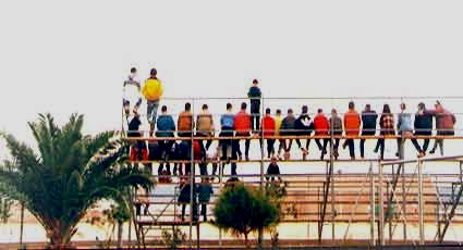 spectators