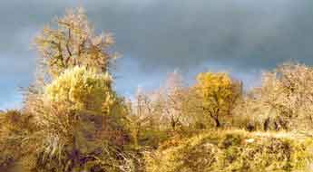 close to Pafos,Cyprus