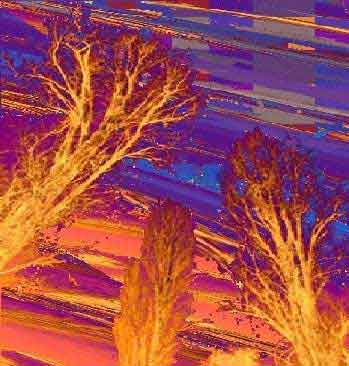 dryeness