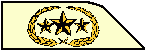 Lieutenant General - Infantry