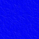 Blue Leather (c)2001 VLGardner