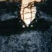 Dee