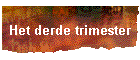 Het derde trimester