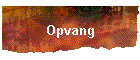 Opvang