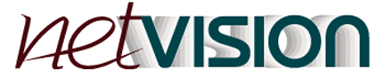 NetVision's Internet Strategic Planning Workshop
