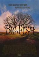 Big Fish Vcd