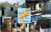 Collage_due.jpg (86139 byte)