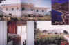 collage_novesette.jpg (60412 byte)