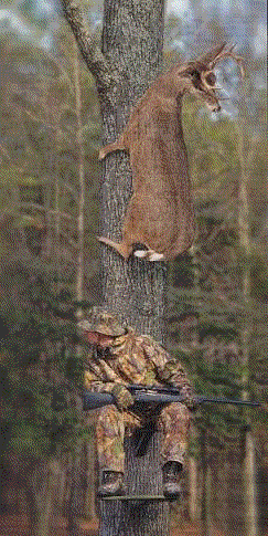 My GIF photo