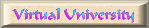 Virtual University