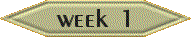 Week 1
