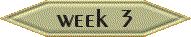 Week 3