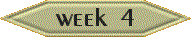 Week 4