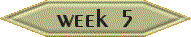 Week 5