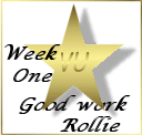 A gold star!