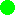 animated dot