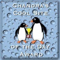 Cool Site Award