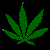 marijuana
