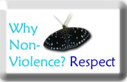 Why nonviolence button